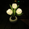 Tulip Dreamlight Table Lamp